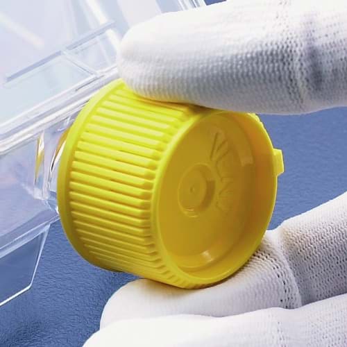 Picture of Vent screw cap for flask 25 cm² (40)